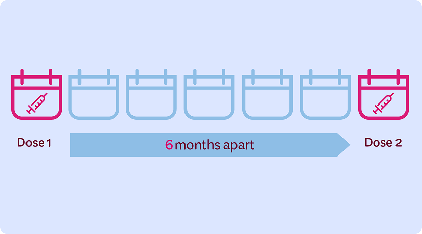 Infographic showing a two-dose vaccination schedule